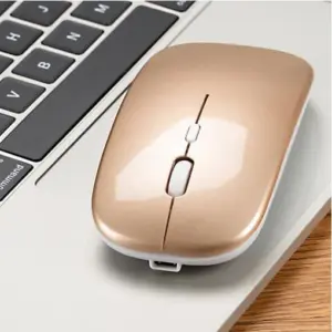 Wireless Silent Mouse 2.4G